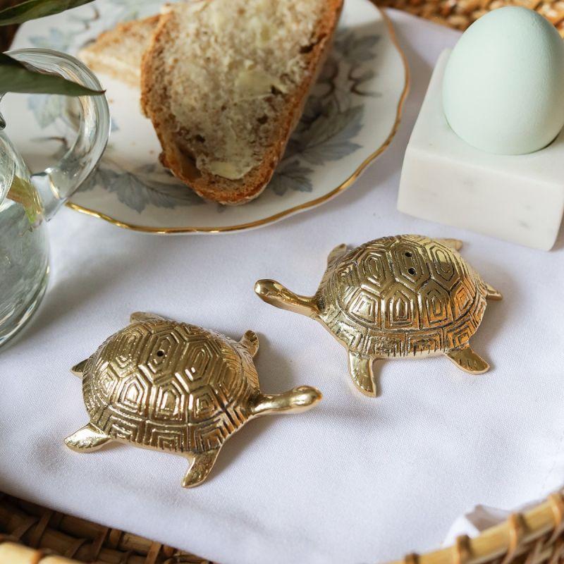 Culinary Concepts Brass Turtle Salt And Pepper Set