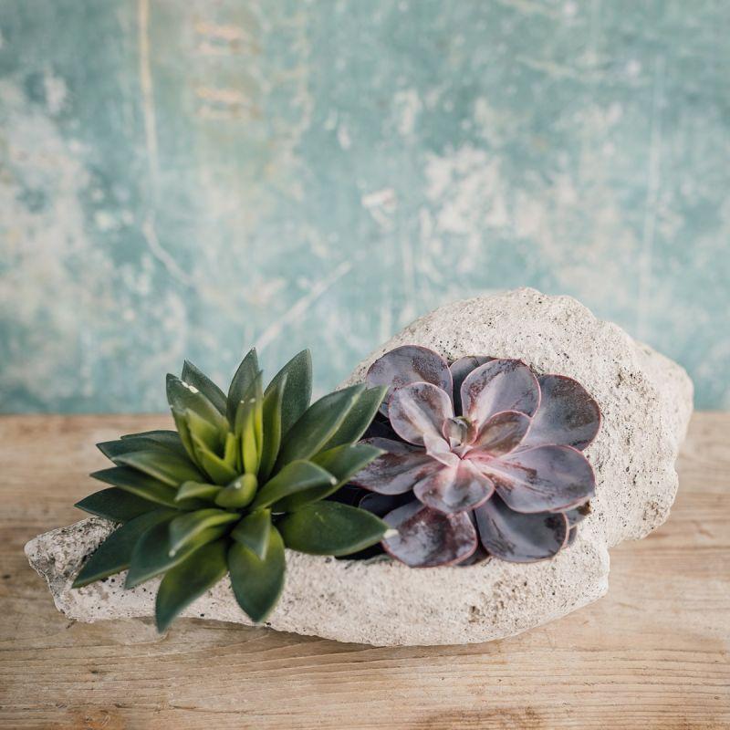 Culinary Concepts Large Conch Shell