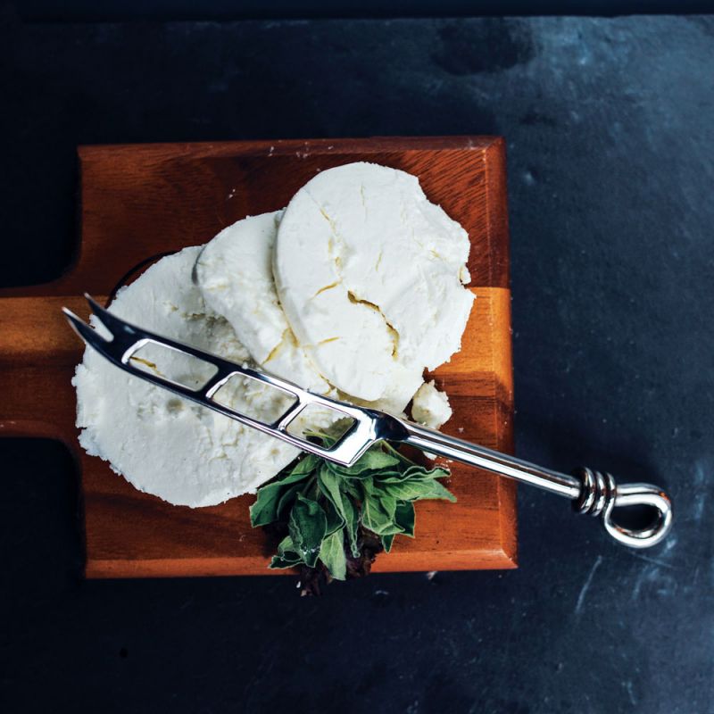 Culinary Concepts Polished Knot Soft Cheese Knife