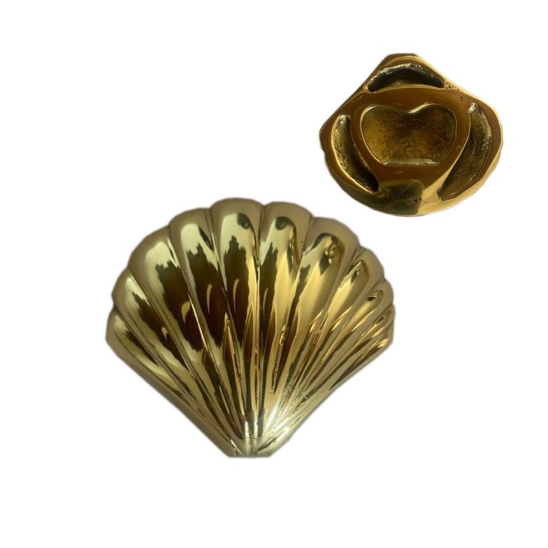 culinary concepts Shell Bottle Opener