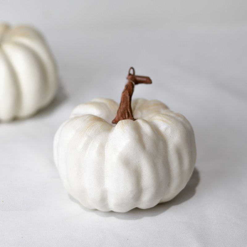 Culinary Concepts White Munchkin Pumpkin - Small