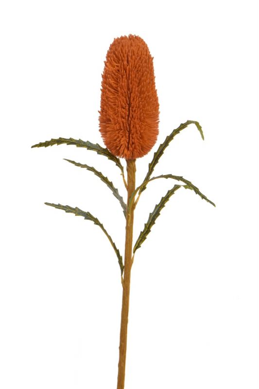 culinary concepts Faux Orange 70cm Protea Dary Stem