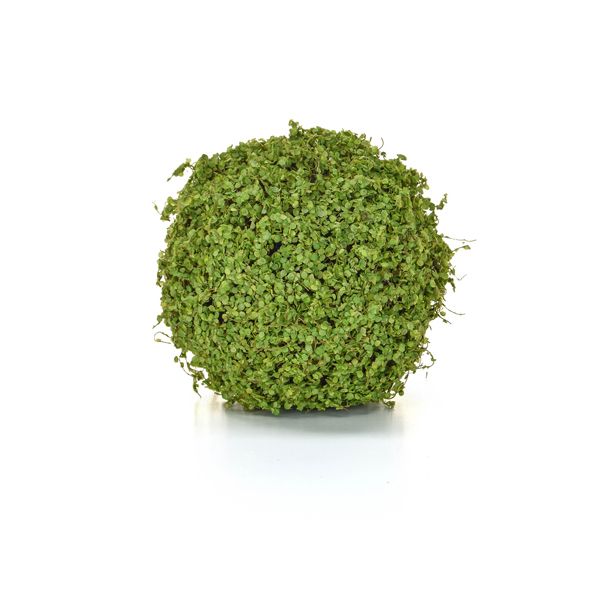 culinary concepts Faux Topiary Ball Moss - Twig Green 25cm