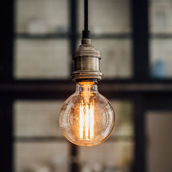 culinary concepts Large Globe Long Filament LED Bulb