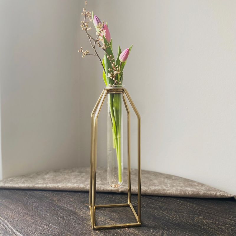 Culinary Concepts Single Oversized Test Tube Vase With Gold Stand