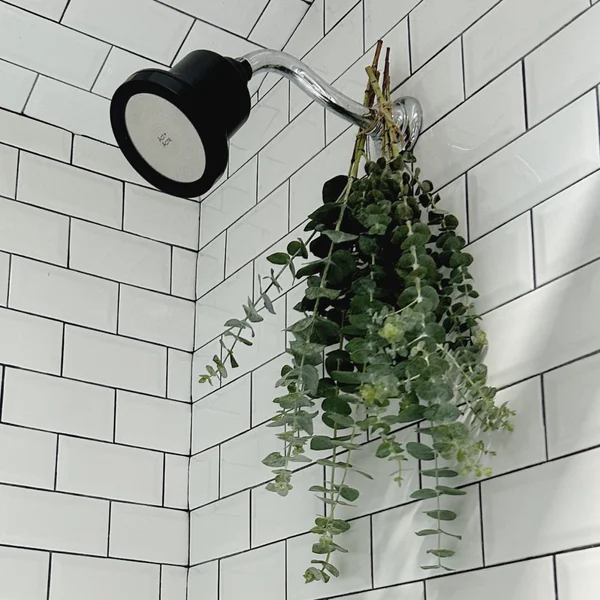 Cult Act+Acre Showerhead Replacement Filter