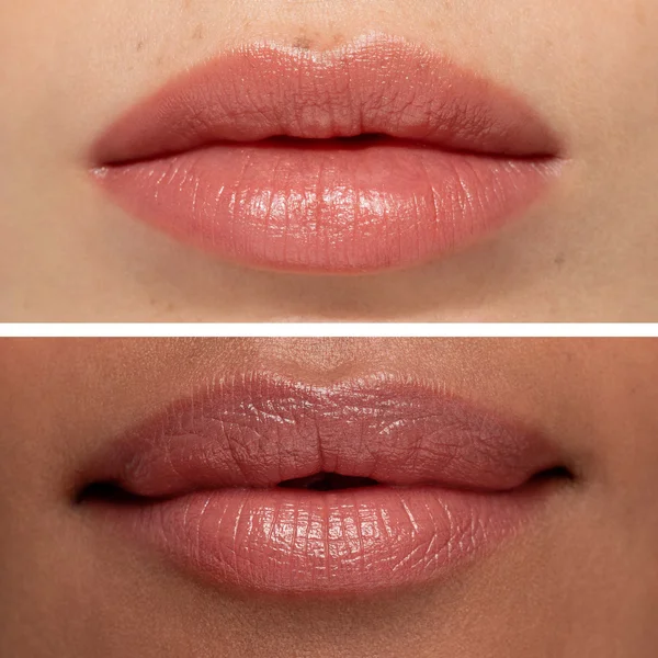 Cult Chantecaille Lip Veil 2.5g (Various Shades)