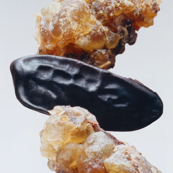 Cult Jo Malone London Myrrh & Tonka Travel Candle