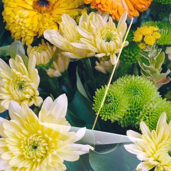 Cult Vyrao Ember Incense 210g