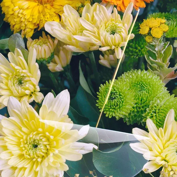 Cult Vyrao Ember Incense 210g