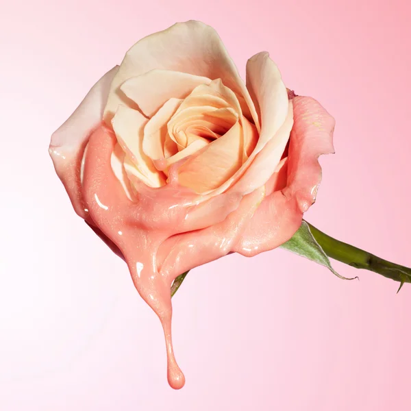 Cult Glow Recipe Watermelon Glow Niacinamide Hue Drops - Rosy Glow