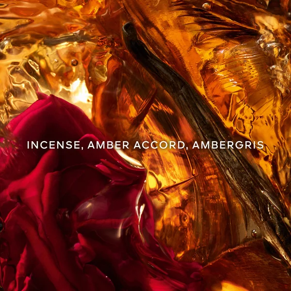Cult GUERLAIN Absolus Allegoria Ambre Samar Eau De Parfum 125ml