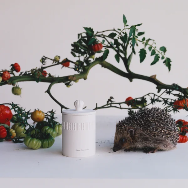 Cult Jo Malone London Green Tomato Vine Townhouse Candle