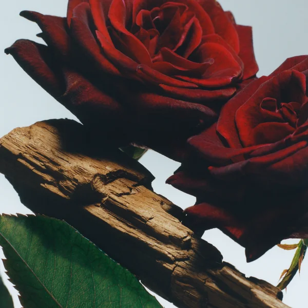 Cult Jo Malone London Velvet Rose & Oud Diffuser 165ml