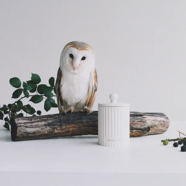 Cult Jo Malone London Wild Berry & Bramble Townhouse Candle