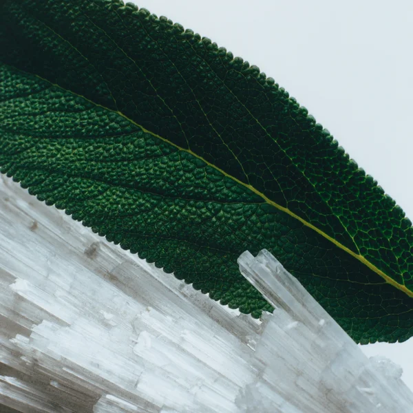 Cult Jo Malone London Wood Sage & Sea Salt Classic Candle 200g