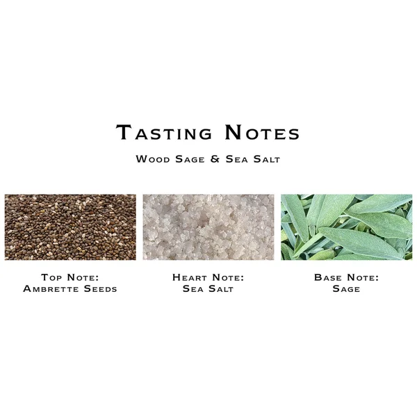 Cult Jo Malone London Wood Sage & Sea Salt Diffuser 165ml