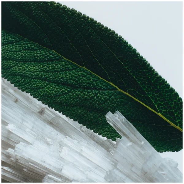 Cult Jo Malone London Wood Sage & Sea Salt Travel Candle