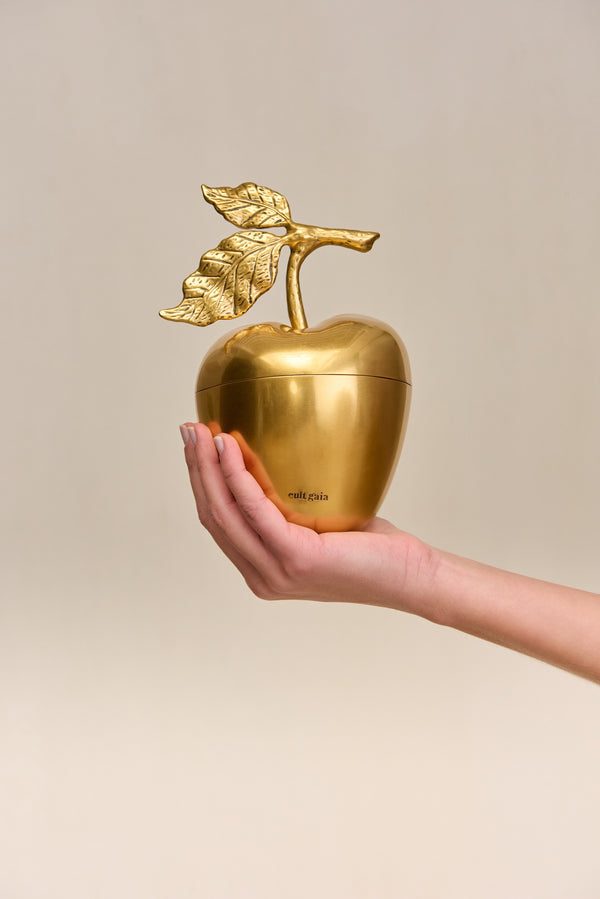 Cult Gaia MELA CLUTCH BAGS Antique Brass
