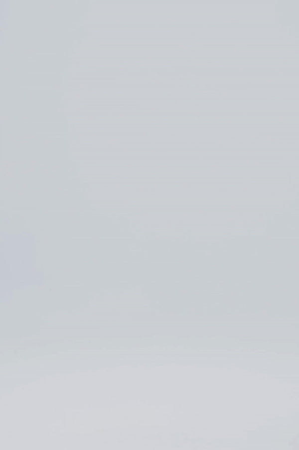 Cup Of Joe Denim Nova Mid Waist Regular Length 5 Pocket Jeans