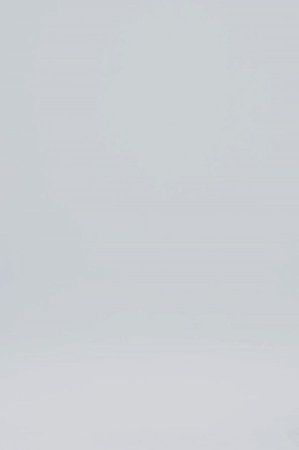 Cup Of Joe Denim Sara High Waist Full Length Printed 5 Pocket Pants