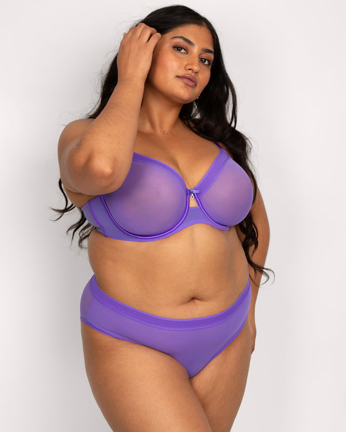 Curvy Couture Sheer Mesh High Cut Brief Violet
