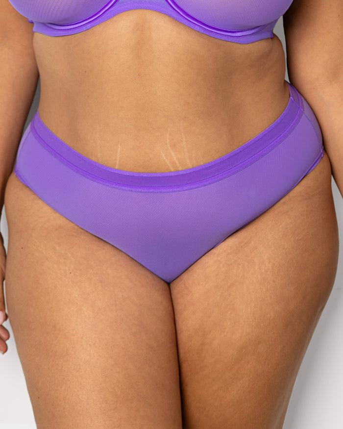 curvy couture Sheer Mesh High Cut Brief Violet
