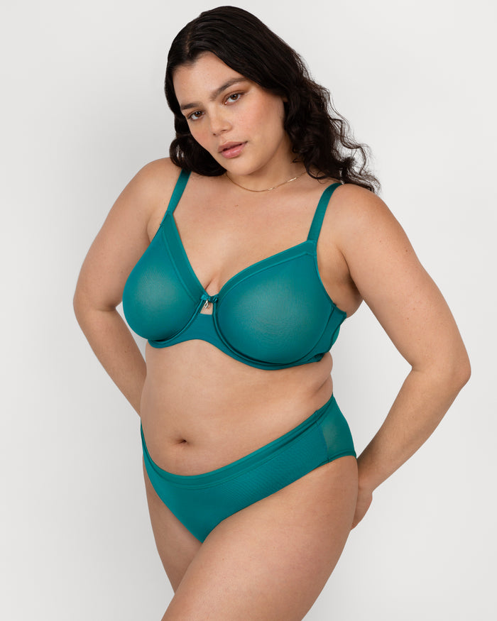 Curvy Couture Sheer Mesh Full Coverage Unlined Underwire Bra Fanfare