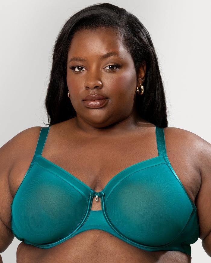 curvy couture Sheer Mesh Full Coverage Unlined Underwire Bra Fanfare
