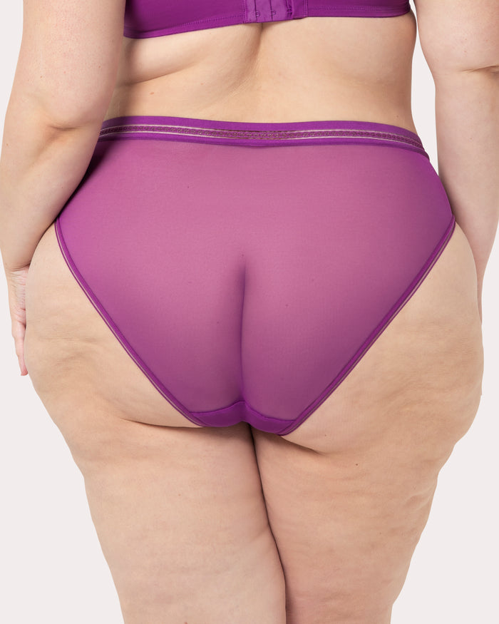 Curvy Couture Sheer Mesh High Cut Brief Panty Berry Bliss