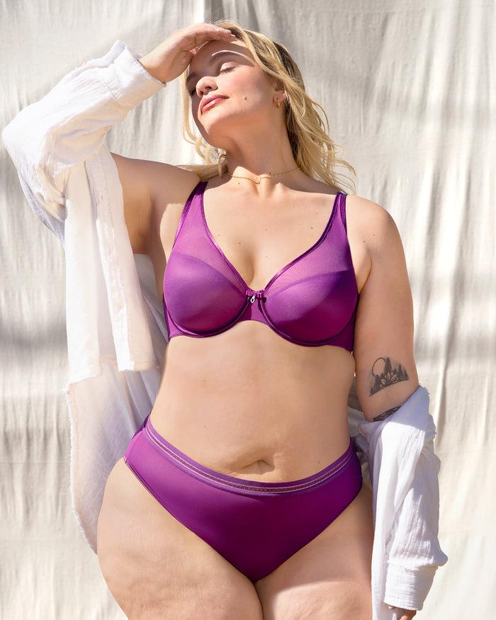 Curvy Couture Sheer Mesh High Cut Brief Panty Berry Bliss