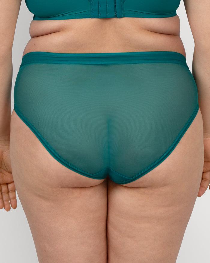 Curvy Couture Sheer Mesh High Cut Brief Panty Fanfare