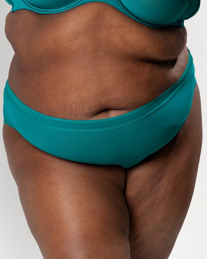 curvy couture Sheer Mesh High Cut Brief Panty Fanfare