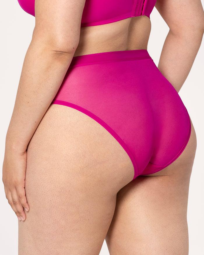 Curvy Couture Sheer Mesh High Cut Brief Panty Glamberry