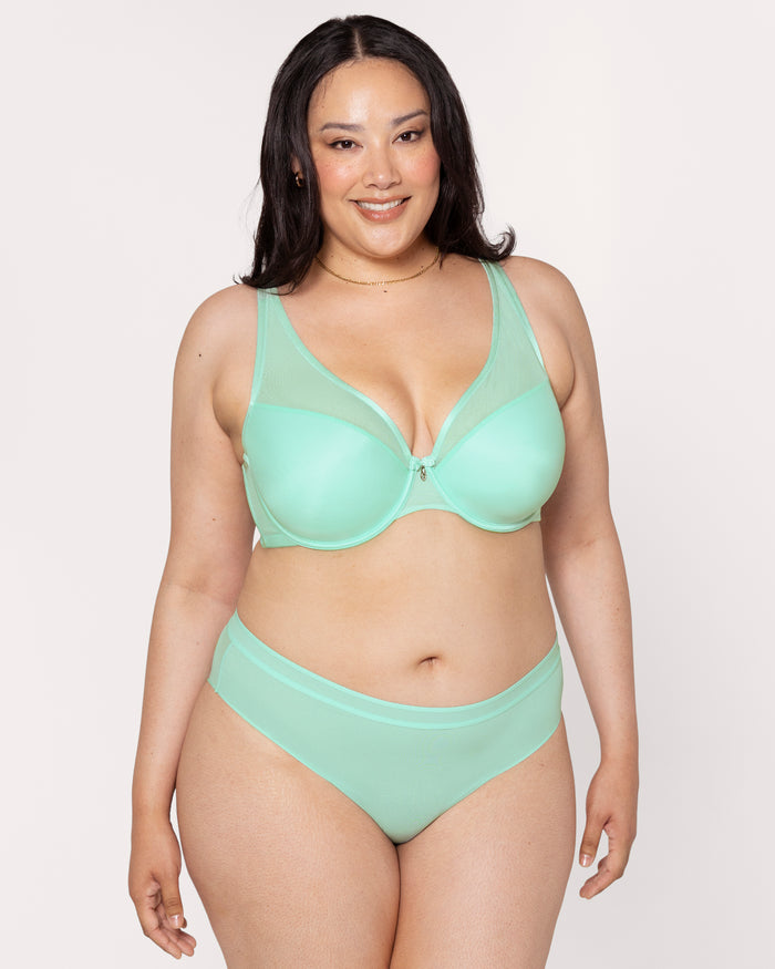 Curvy Couture Sheer Mesh High Cut Brief Panty Mint Chip
