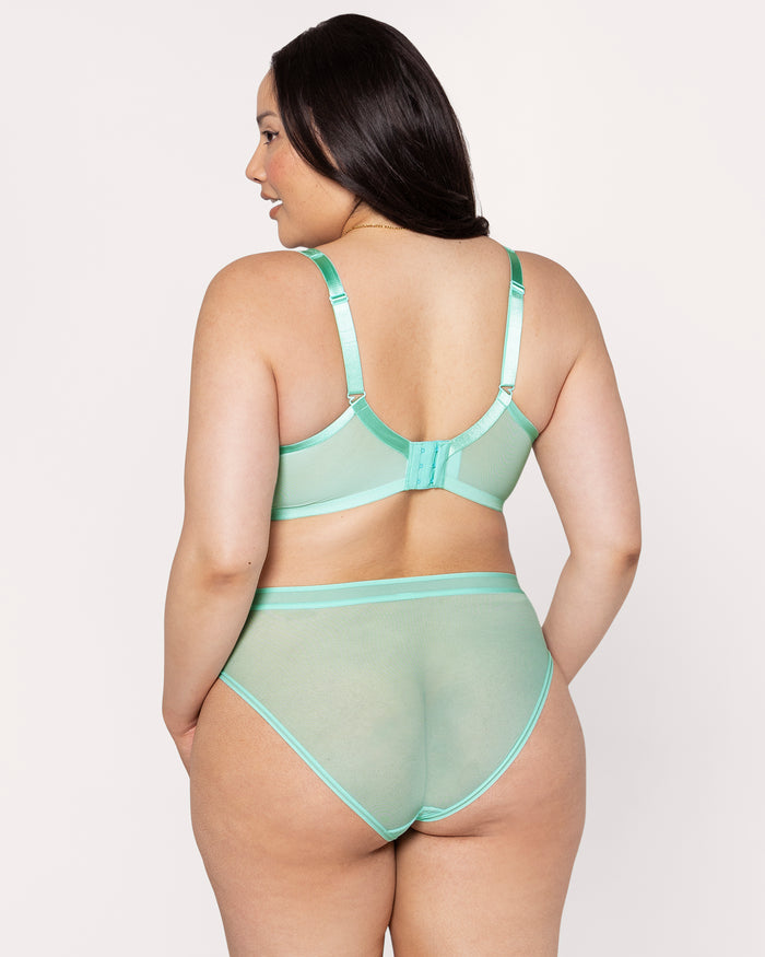 Curvy Couture Sheer Mesh High Cut Brief Panty Mint Chip