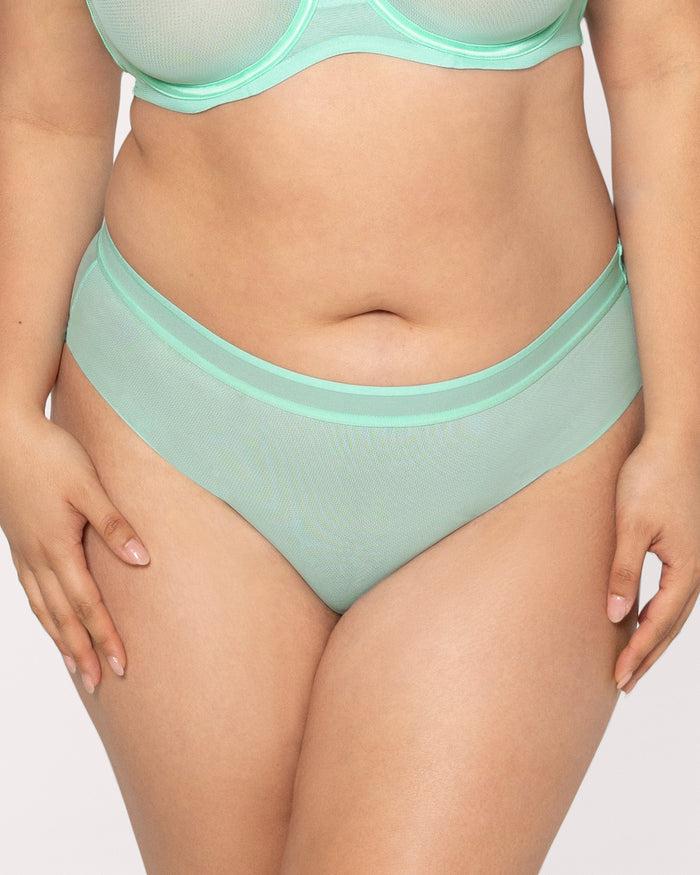 curvy couture Sheer Mesh High Cut Brief Panty Mint Chip