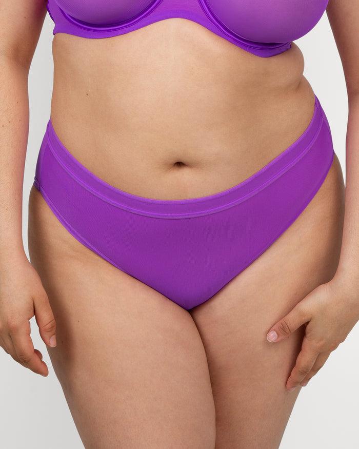 Curvy Couture Sheer Mesh High Cut Brief Panty Purple Passion