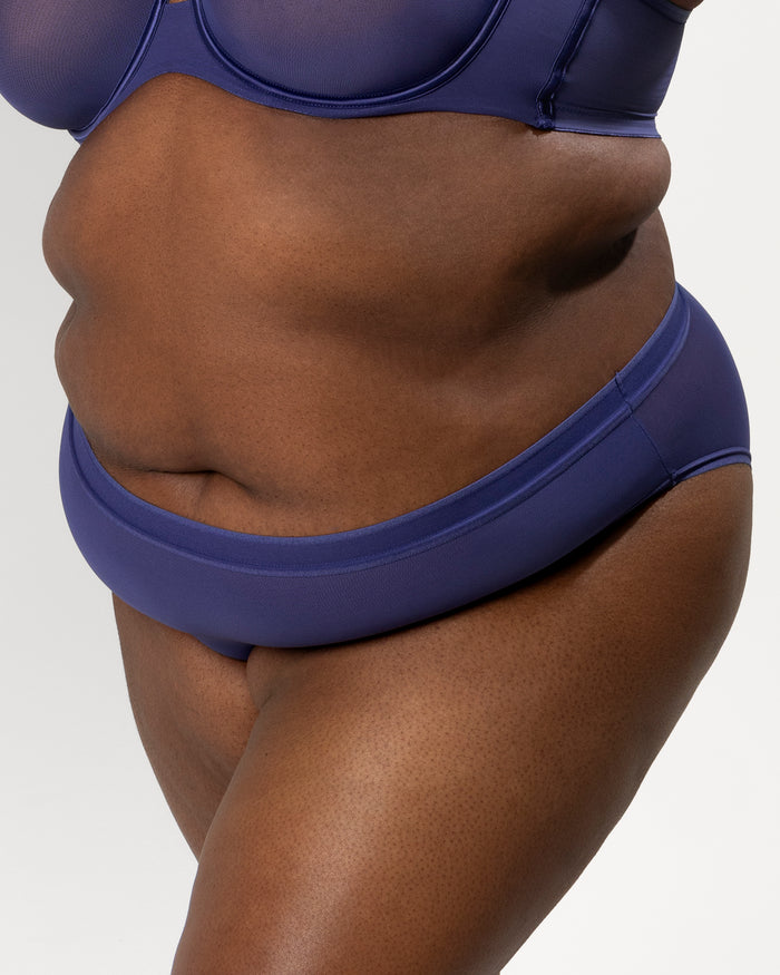 curvy couture Sheer Mesh High Cut Brief Vintage Blue