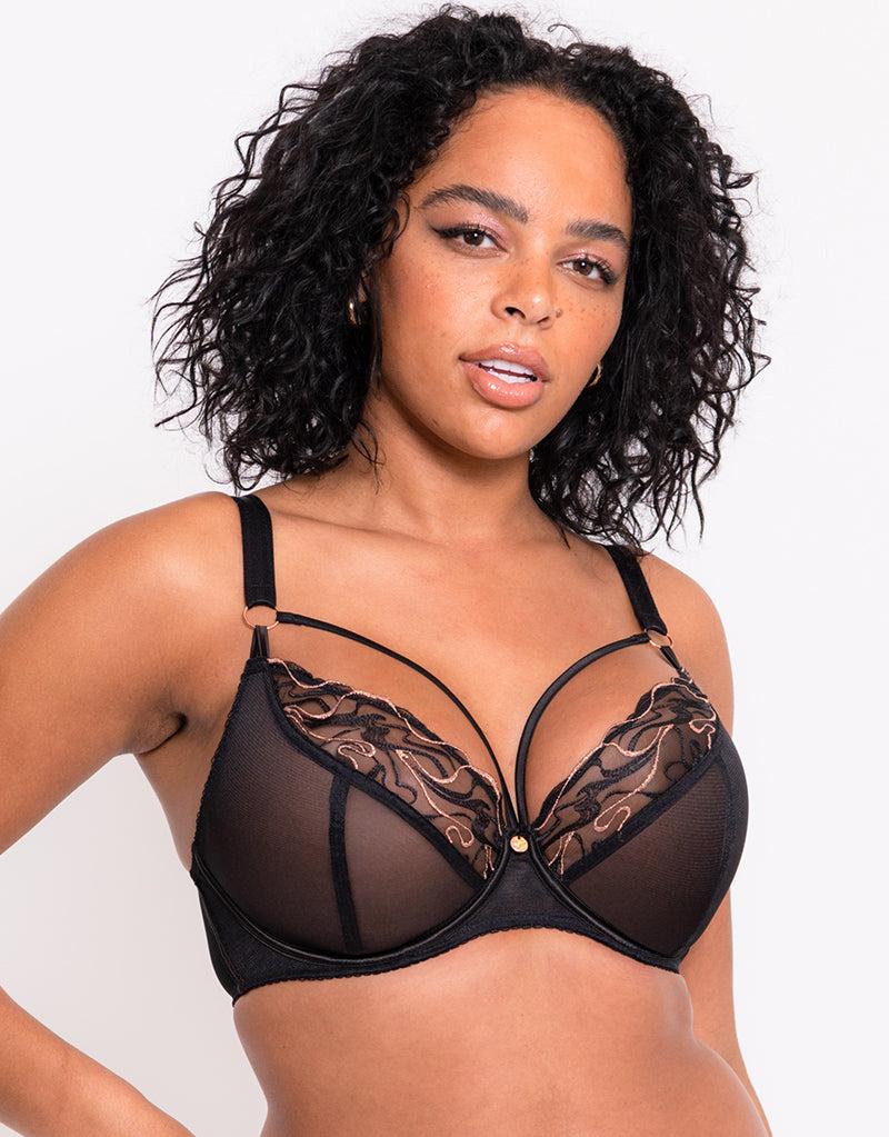 Curvy Kate Fascinate Plunge Bra Black