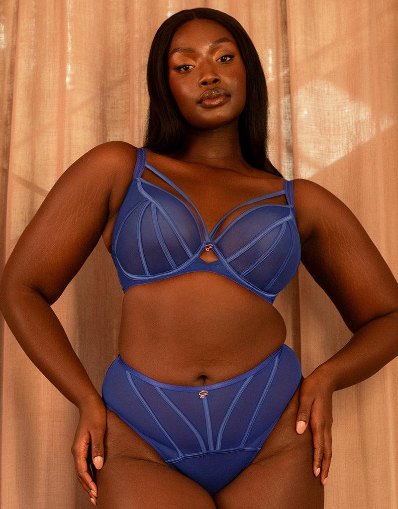 curvy kate Senses Plunge Bra and High Waist Brief Pack Ultraviolet Blue