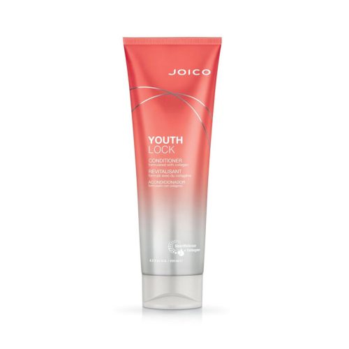 cutting edge Joico YouthLock Conditioner
