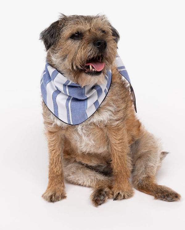 cyberjammies Alpes Stripe Dog Neckerchief