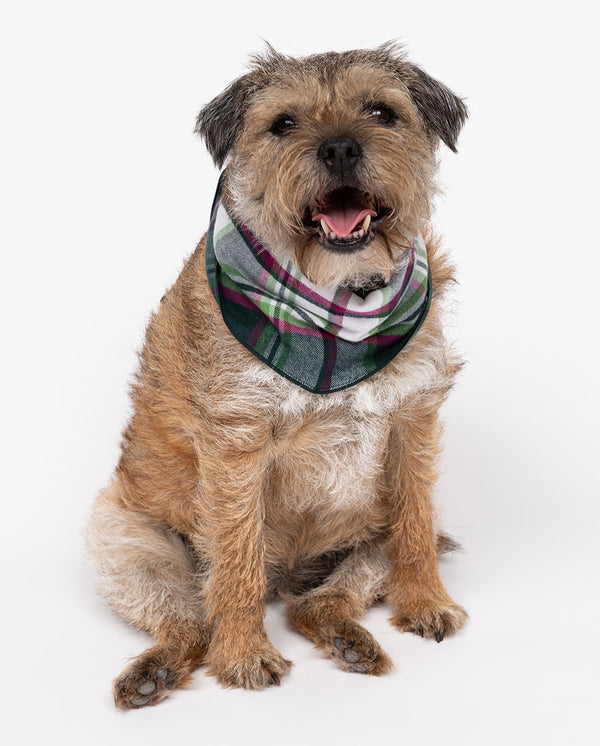 cyberjammies Forrest Brushed Check Dog Neckerchief