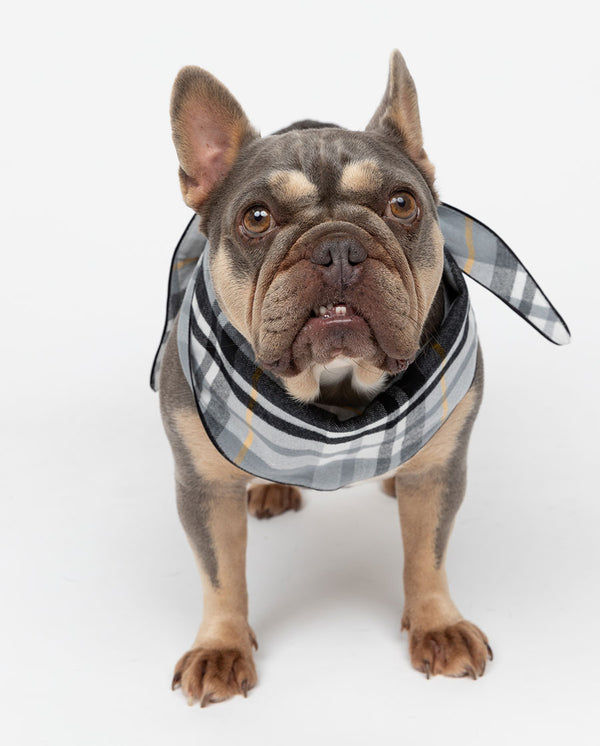cyberjammies Parker Brushed Check Dog Neckerchief