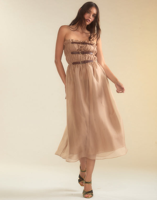 Cynthia Rowley Buckle Up Silk Organza Dress