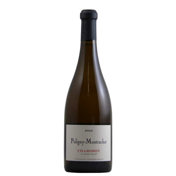 d&m Charodon Puligny Montrachet 2022