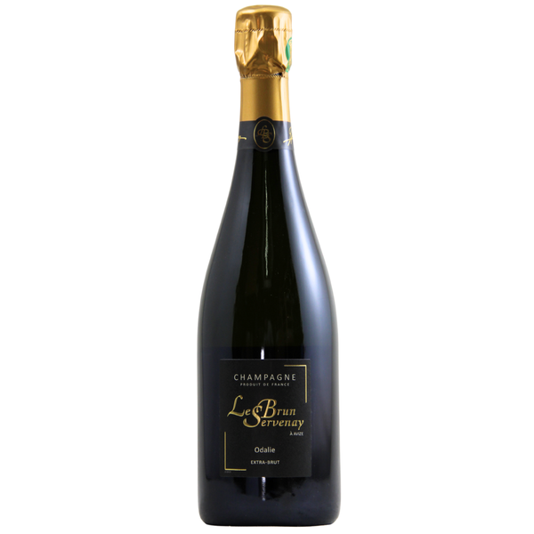 d&m Le Brun Servenay Odalie NV