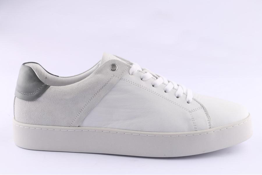 d.moro shoes Men Leather Sneakers for Summer: 201022 White (Wholesale)