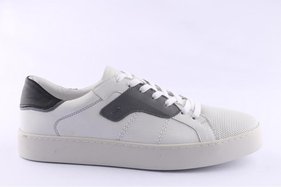 d.moro shoes Men Leather Sneakers for Summer: 201023 White (Wholesale)